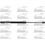 HOOD LIFT ASSY LH=RH; GAS PROP RAM 1500 19-24