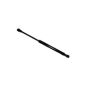 HOOD LIFT ASSY LH=RH SDN;525I 04-07;528i 08-10;530i WGN 04-07;535i WGN 08-10;545i 04-05;550i/M5 06-1
