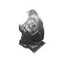 RH FRONT FENDER INNER PANEL; F30; SEDAN/WGN; 320I/328D/328I/330E/340I16-17