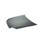 HOOD ACCENT SDN 03-05; H-BACK 03-06