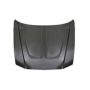 HOOD PANEL ASSY STEEL DODGE CHARGER 11-14