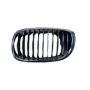 LH GRILLE ASSY 2DR CPE/CONV; HOOD MOUNTED BRIGHT; FROM 3/03; BRIGHT/BLACK BMW 325I/330I 03-06
