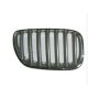 GRILLE ASSY LEFT SIDE BMW X5 2004-2006
