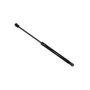 HOOD LIFT ASSY UNIVERSAL; SANTA FE 07-12