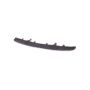 RR BPR VALANCE PNL LTD/SE/XLE;NORTH AMERICA BUILT;W/O HANDS FREE LIFTGATE;SILVER;RAV4 16-17