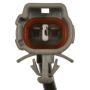 Standard Ignition ALH137 ABS Speed Sensor Wire Harness