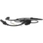 Standard Ignition ALH288 ABS Speed Sensor Wire Harness