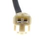 Standard Ignition BTL153 Center High Mount Stop Light Assembly