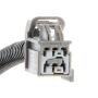 Standard Ignition BTL155 Center High Mount Stop Light Assembly