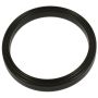 Standard Ignition CP3209 Fuel Vapor Canister