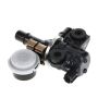 Standard Ignition CP320 Canister Purge Solenoid