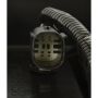 Standard Ignition CP3598 Fuel Vapor Canister