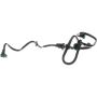 Standard Ignition CP3766 Vapor Canister Purge Valve Hose