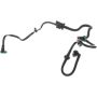 Standard Ignition CP3766 Vapor Canister Purge Valve Hose