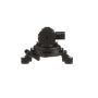 Standard Ignition CP523 Canister Purge Valve