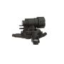 Standard Ignition CP523 Canister Purge Valve