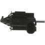 Standard Ignition CP739 Canister Purge Solenoid