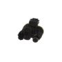 Standard Ignition CP796 Canister Purge Valve