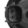 Standard Ignition CP989 Canister Purge Solenoid