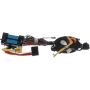 Standard Ignition CSP265 Clock Spring