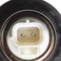 Standard Ignition CVS15 Canister Vent Solenoid