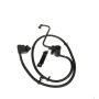Standard Ignition CVS171 Canister Vent Solenoid