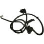Standard Ignition CVS173 Canister Vent Solenoid