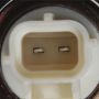 Standard Ignition CVS22 Canister Vent Solenoid