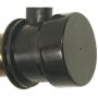 Standard Ignition CVS25 Canister Vent Solenoid