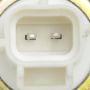 Standard Ignition CVS29 Canister Vent Solenoid