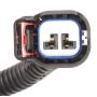 Standard Ignition CVS33 Canister Vent Solenoid
