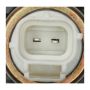 Standard Ignition CVS41 Canister Vent Solenoid