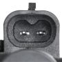 Standard Ignition CVS42 Canister Vent Solenoid