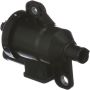Standard Ignition CVS89 Canister Purge Valve