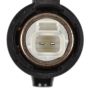 Standard Ignition CVS93 Canister Vent Solenoid