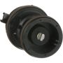 Standard Ignition CVS96 Canister Vent Solenoid