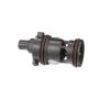 Standard Ignition CVS96 Canister Vent Solenoid