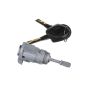 Standard Ignition DL300 Door Lock Kit