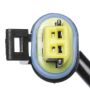 Standard Ignition DS-2178 Liftgate Release Switch