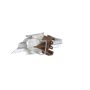 Standard Ignition DS-79 Headlight Dimmer Switch