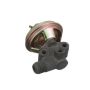 Standard Ignition EGV598 EGR Valve
