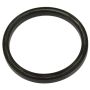 Standard Ignition EVCS01 Fuel Vapor Canister Seal