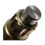 Standard Ignition FJ598 Fuel Injector - Diesel - Remfd