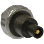 Standard Ignition FPS55 Fuel Pressure Sensor