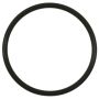 Standard Ignition GDR101 Fuel Pump O-Ring