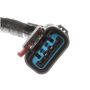 Standard Ignition GPH104 Diesel Glow Plug Wiring Harness