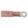 Standard Ignition HP1360 Heat Shrink Terminal
