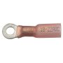 Standard Ignition HP1370 Heat Shrink Terminal
