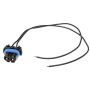 Standard Ignition HP3970 Fog Lamp Connector