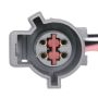 Standard Ignition HP4385 Oxygen Sensor Connector